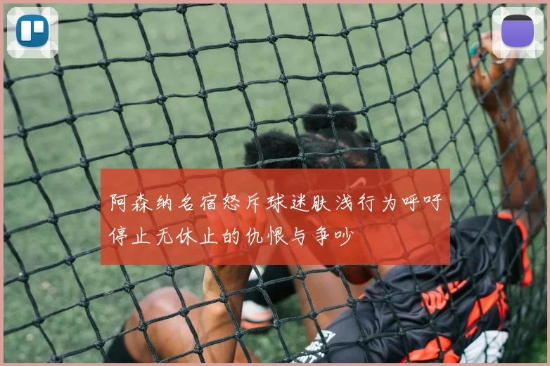 阿森纳名宿怒斥球迷肤浅行为呼吁停止无休止的仇恨与争吵