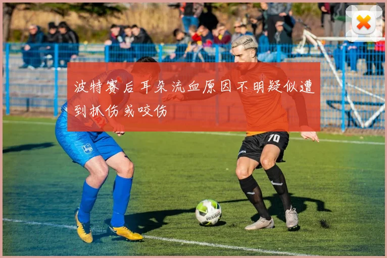 波特赛后耳朵流血原因不明疑似遭到抓伤或咬伤